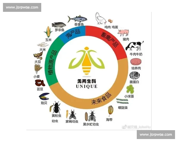 足球行业商业模式创新与发展趋势分析及其未来潜力探讨