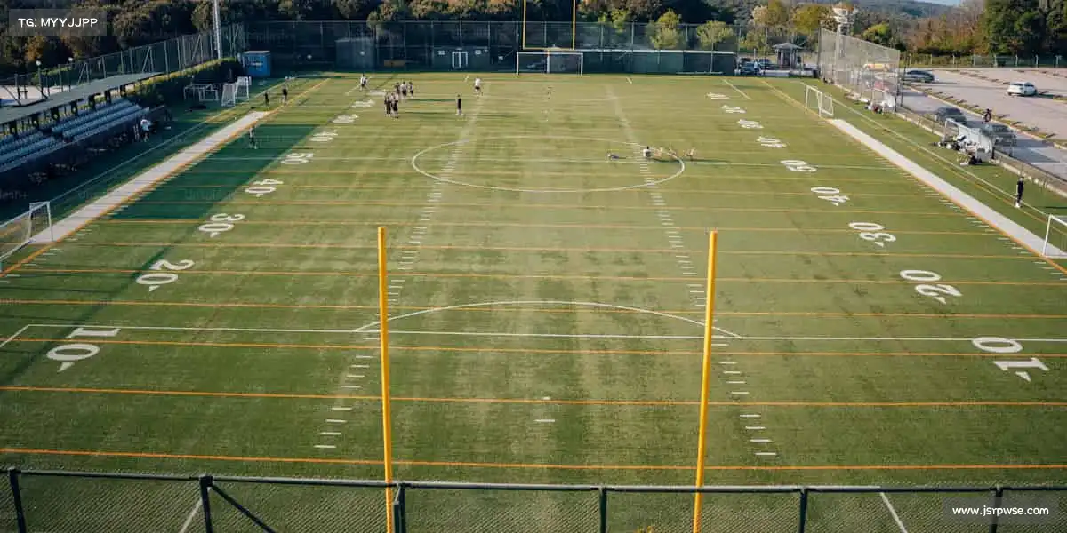 行业领先的理由